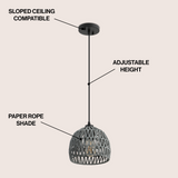 Wasp 20" Woven Rattan Dome LED Pendant
