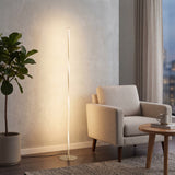 Rhone 63.75" LED Integrated Floor Lamp