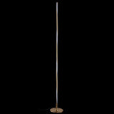 Rhone 63.75" LED Integrated Floor Lamp