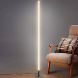 Rhine 59.5" LED Integrated Floor Lamp