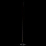 Rhine 59.5" LED Integrated Floor Lamp