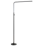 Ottawa 63" LED Integrated Floor Lamp