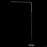 Ottawa 63" LED Integrated Floor Lamp