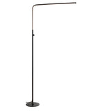 Ottawa 63" LED Integrated Floor Lamp