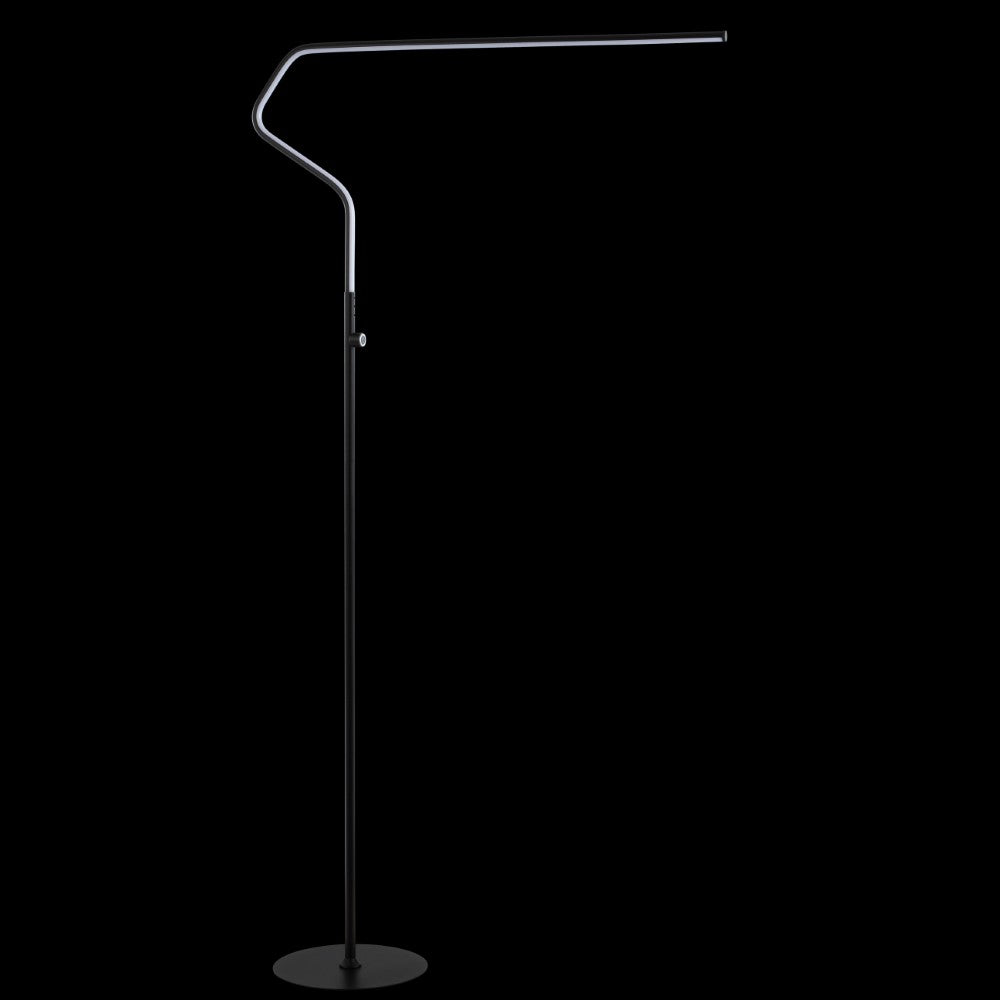 Ash 65.25" Integrated LED Metal Floor Lamp