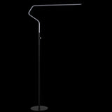 Ash 65.25" Integrated LED Metal Floor Lamp