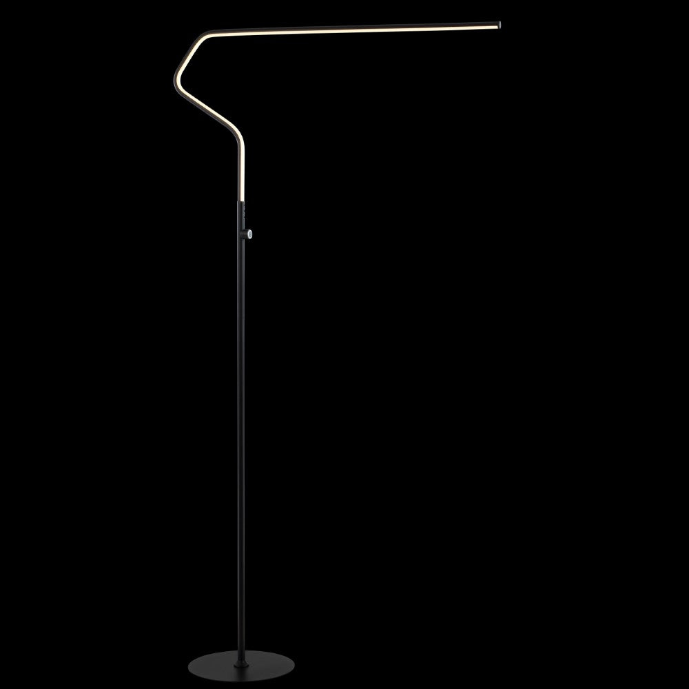 Ash 65.25" Integrated LED Metal Floor Lamp