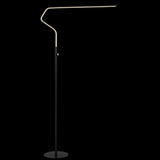 Ash 65.25" Integrated LED Metal Floor Lamp