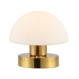 Modern mushroom  5.75" Bohemian Farmhouse Iron Rechargeable Integrated LED Table Lamp