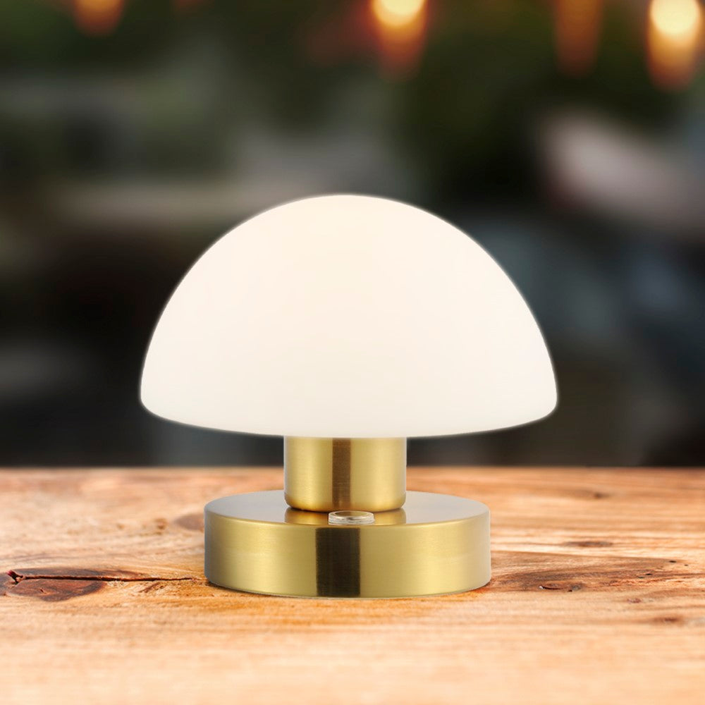Modern mushroom  5.75" Bohemian Farmhouse Iron Rechargeable Integrated LED Table Lamp