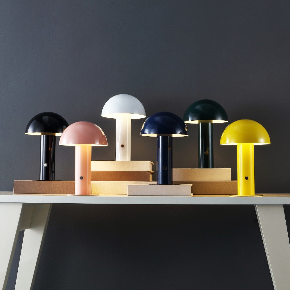 Frasier Contemporary Bohemian Rechargeable/Cordless Iron Integrated LED Mushroom Table Lamp
