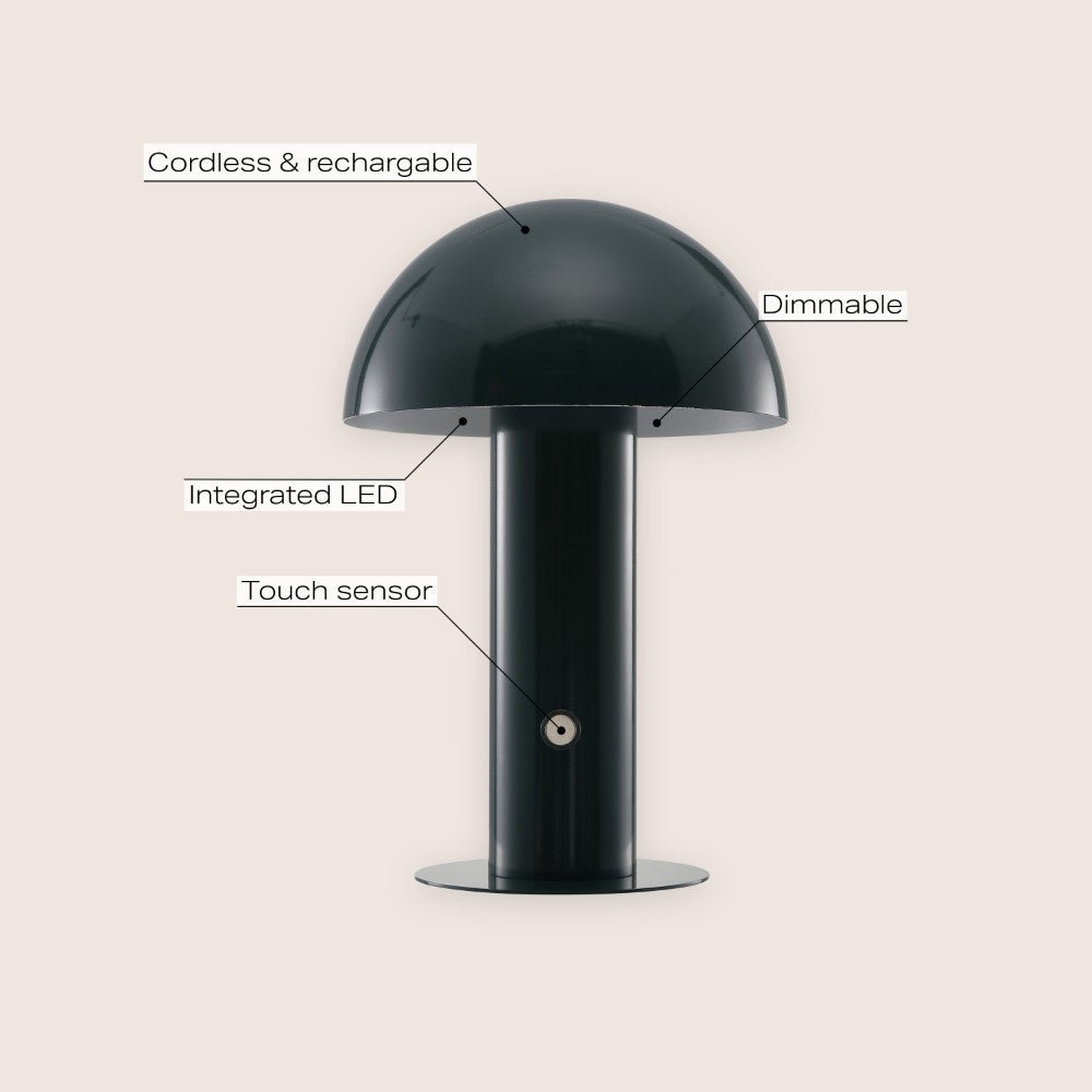 Frasier Contemporary Bohemian Rechargeable/Cordless Iron Integrated LED Mushroom Table Lamp