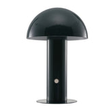 Frasier Contemporary Bohemian Rechargeable/Cordless Iron Integrated LED Mushroom Table Lamp