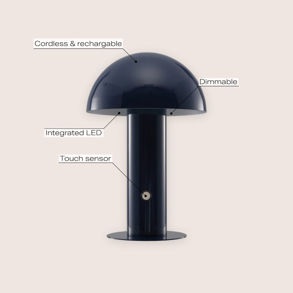 Frasier Contemporary Bohemian Rechargeable/Cordless Iron Integrated LED Mushroom Table Lamp