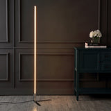 Bobbin 60.5" Modern Contemporary Aluminum/Iron Integrated LED Post Floor Lamp
