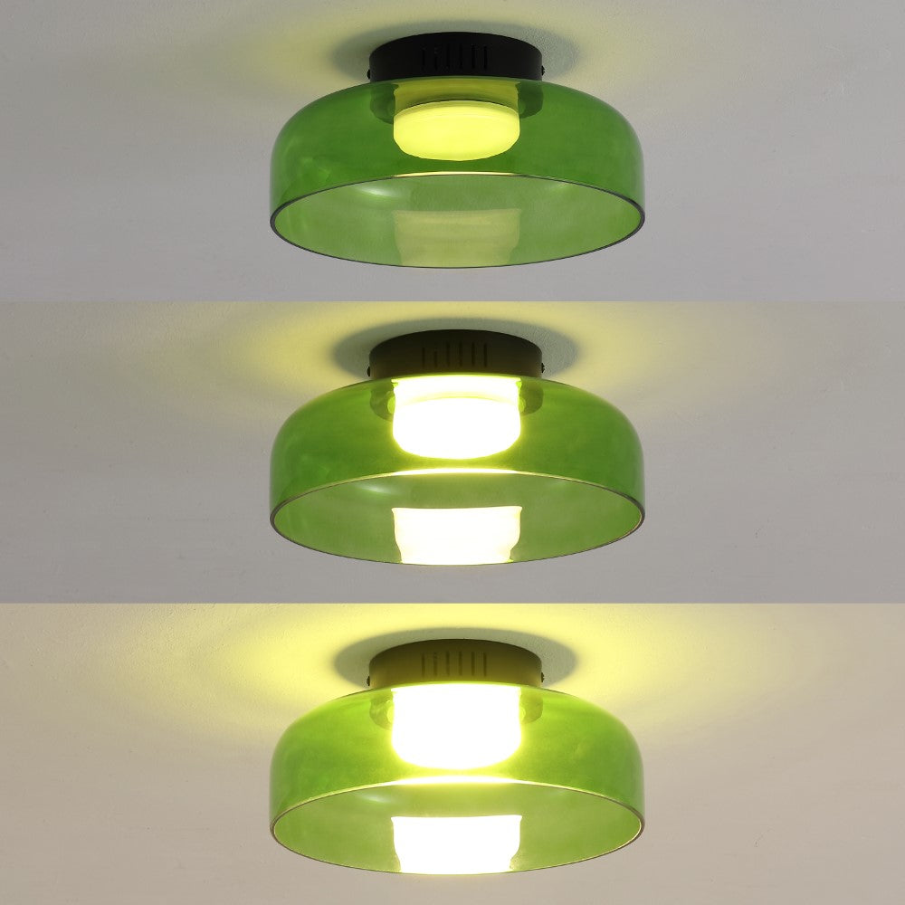 Orly 12" Modern Minimalist Iron/Glass Dimmable Integrated LED Flush Mount