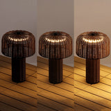 Eagle 10" Modern Scandinavian Indoor/Outdoor Faux Wicker Rechargeable/Cordless Dimmable Integrated LED Table Lamp, Set of 2