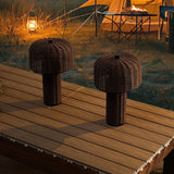 Eagle 10" Modern Scandinavian Indoor/Outdoor Faux Wicker Rechargeable/Cordless Dimmable Integrated LED Table Lamp, Set of 2