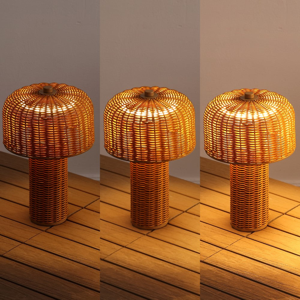 Eagle 10" Modern Scandinavian Indoor/Outdoor Faux Wicker Rechargeable/Cordless Dimmable Integrated LED Table Lamp, Set of 2