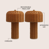 Eagle 10" Modern Scandinavian Indoor/Outdoor Faux Wicker Rechargeable/Cordless Dimmable Integrated LED Table Lamp, Set of 2
