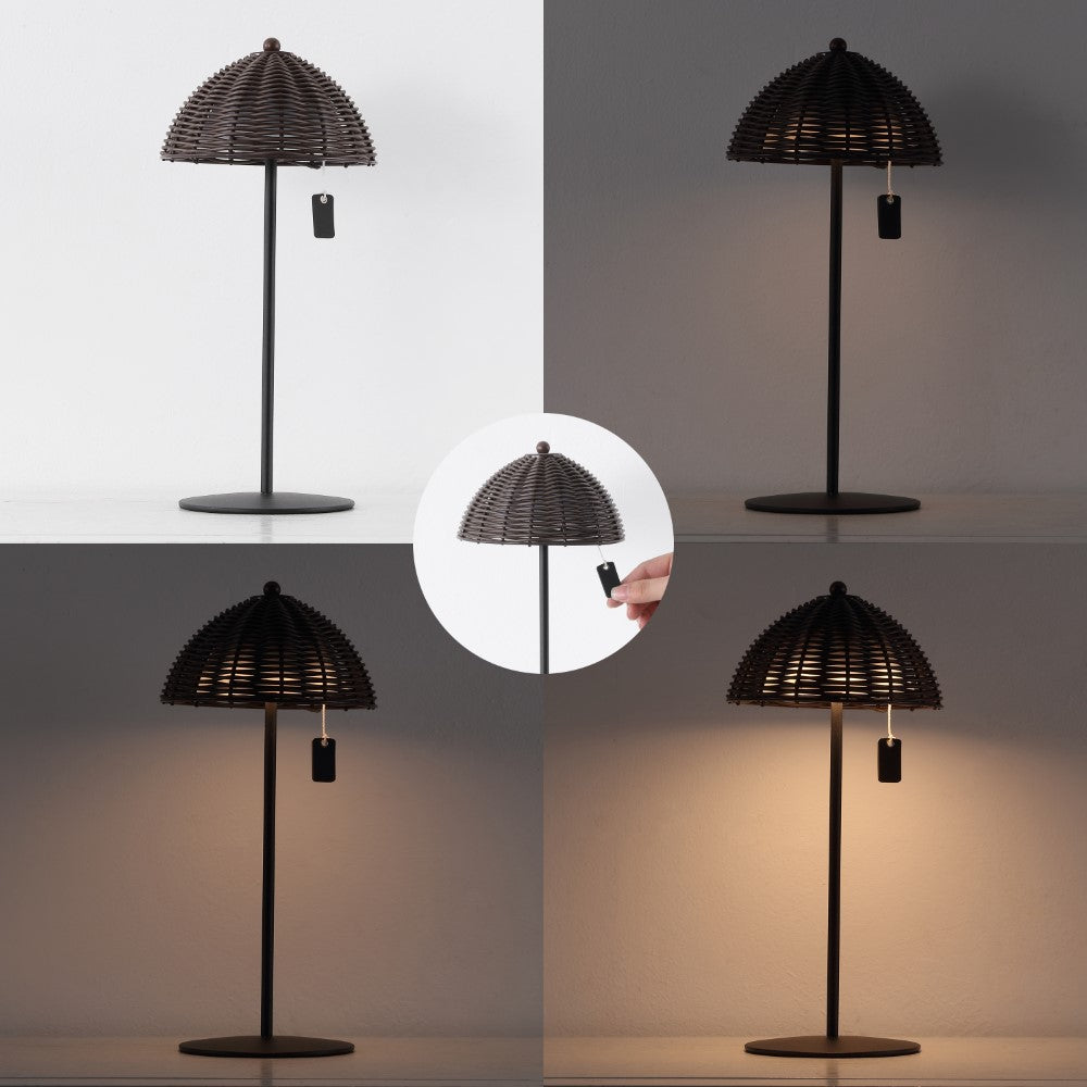 Ardath 12.75" Modern Coastal Indoor/Outdoor Wicker Shade Rechargeable/Cordless Dimmable Integrated LED Table Lamp Set 2