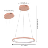 Mary Modern Contemporary Iron Integrated LED Pendant