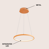 Mary Modern Contemporary Iron Integrated LED Pendant