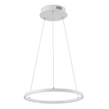Mary Modern Contemporary Iron Integrated LED Pendant