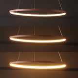 Mary Modern Contemporary Iron Integrated LED Pendant
