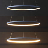 Mary Modern Contemporary Iron Integrated LED Pendant