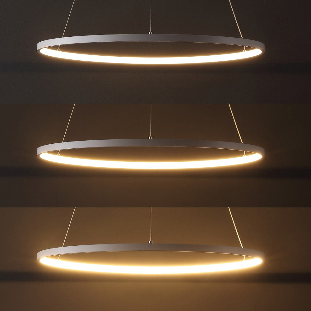 Mary Modern Contemporary Iron Integrated LED Pendant