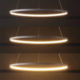 Mary Modern Contemporary Iron Integrated LED Pendant