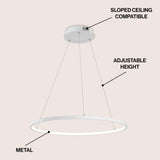 Mary Modern Contemporary Iron Integrated LED Pendant