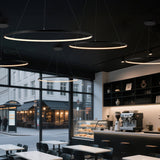 Mary Modern Contemporary Iron Integrated LED Pendant