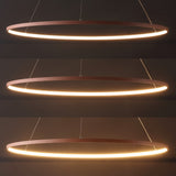 Mary Modern Contemporary Iron Integrated LED Pendant