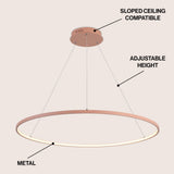 Mary Modern Contemporary Iron Integrated LED Pendant