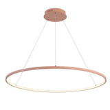 Mary Modern Contemporary Iron Integrated LED Pendant