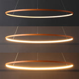 Mary Modern Contemporary Iron Integrated LED Pendant