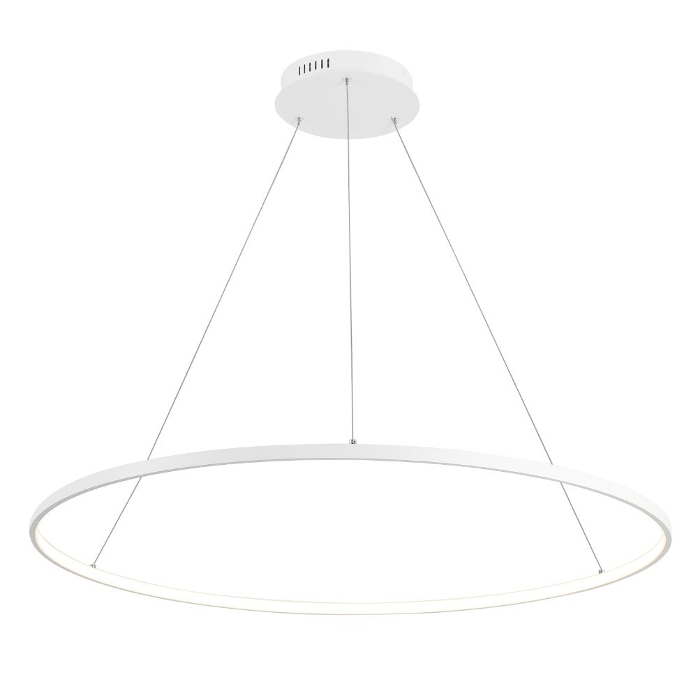 Mary Modern Contemporary Iron Integrated LED Pendant