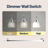 Shirley Metal/Glass LED Vanity Light