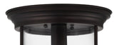 Iguazu 10.25" Metal/Glass LED Flush Mount