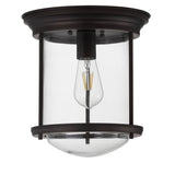 Iguazu 10.25" Metal/Glass LED Flush Mount