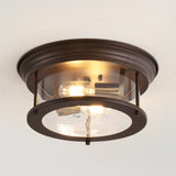 Forrest 13.25" Metal/Glass LED Flush Mount