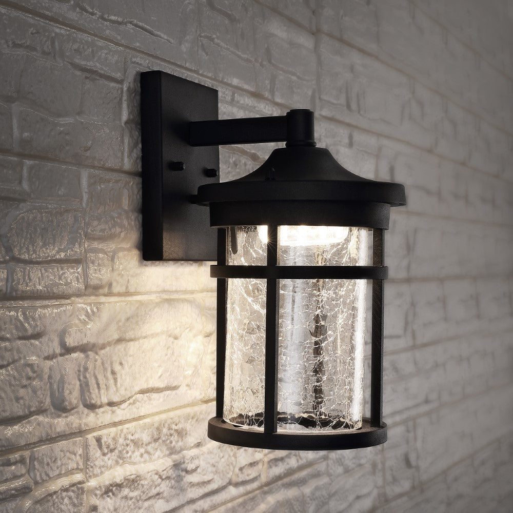 Turtle Outdoor Wall Lantern Crackled Glass/Metal Integrated LED Sconce