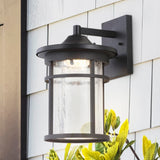 Turtle Outdoor Wall Lantern Crackled Glass/Metal Integrated LED Sconce