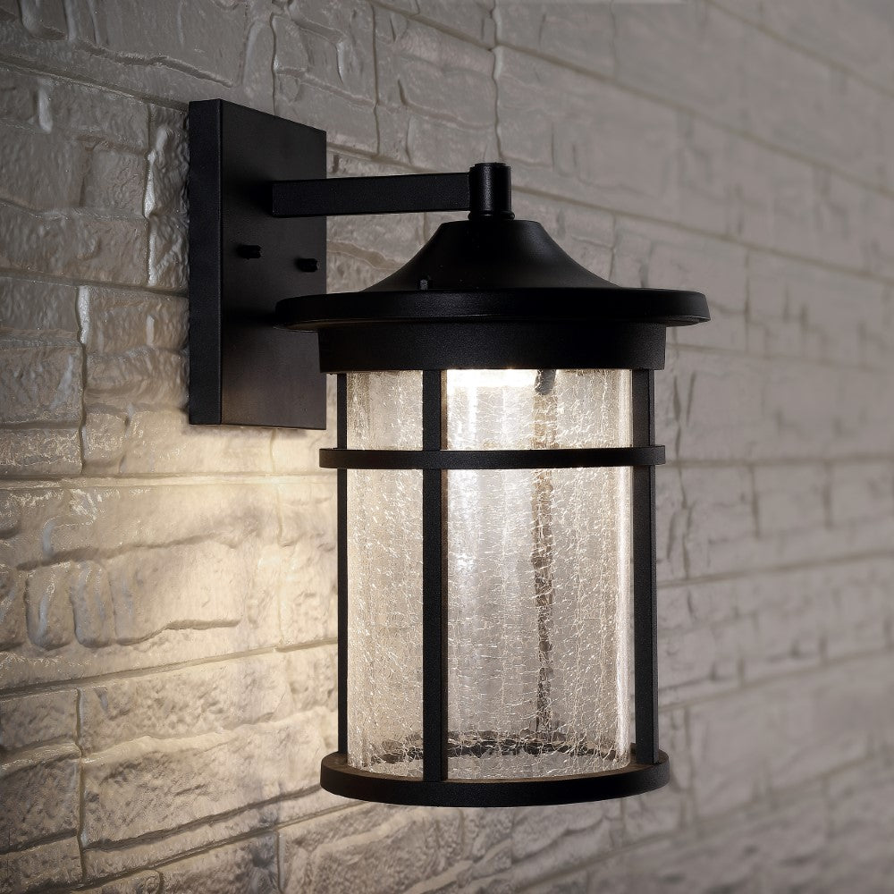 Turtle Outdoor Wall Lantern Crackled Glass/Metal Integrated LED Sconce
