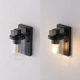 Pinewood Iron/Seeded Glass Rustic Farmhouse LED Vanity Light