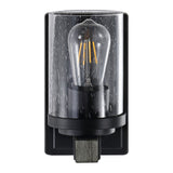 Pinewood Iron/Seeded Glass Rustic Farmhouse LED Vanity Light
