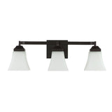 Wetherell Iron/Glass Modern Cottage LED Vanity Light