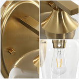 Damon Iron/Glass Cottage Rustic LED Vanity Light